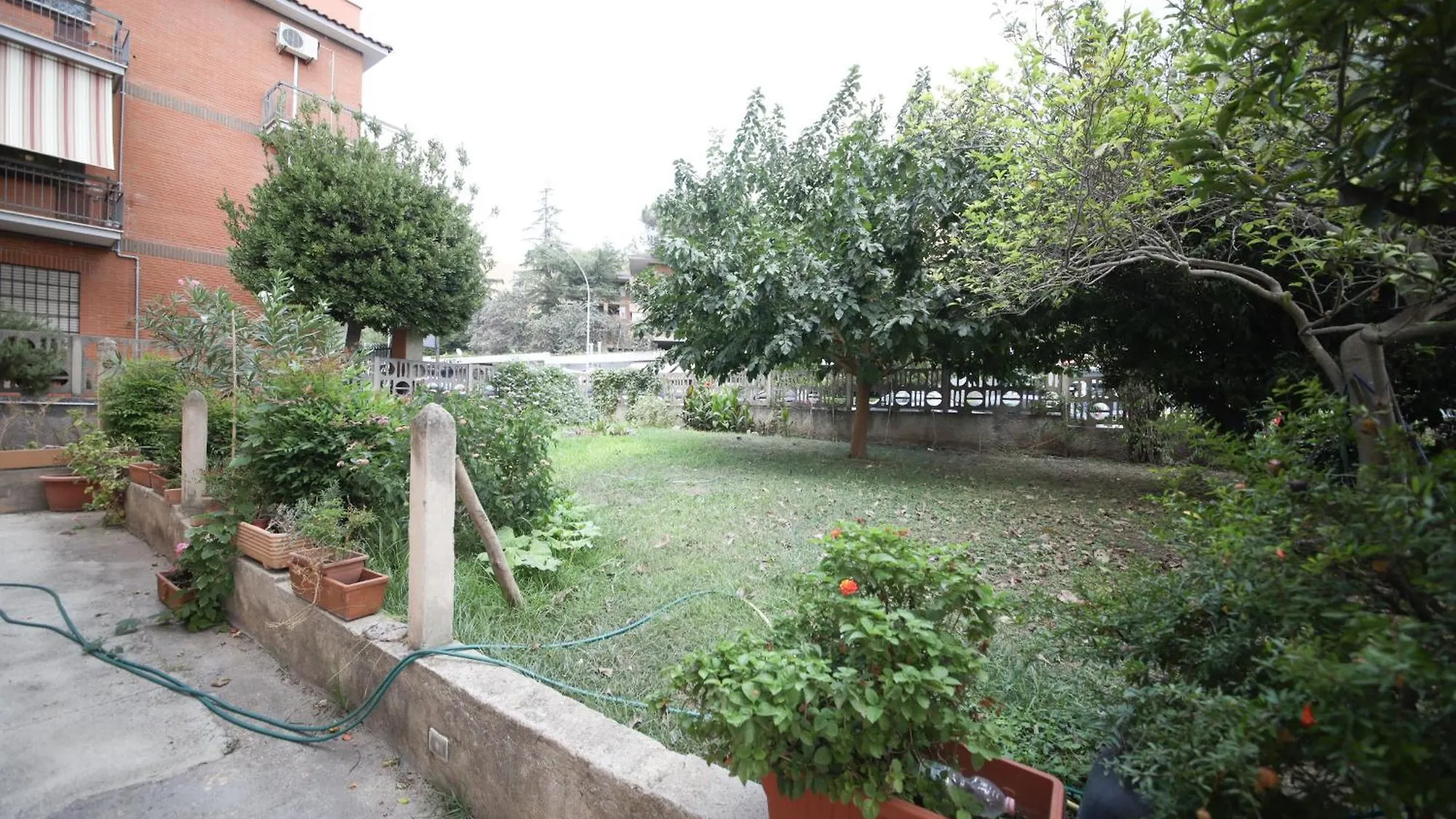 Yellowmat By Ghor Rome Italy